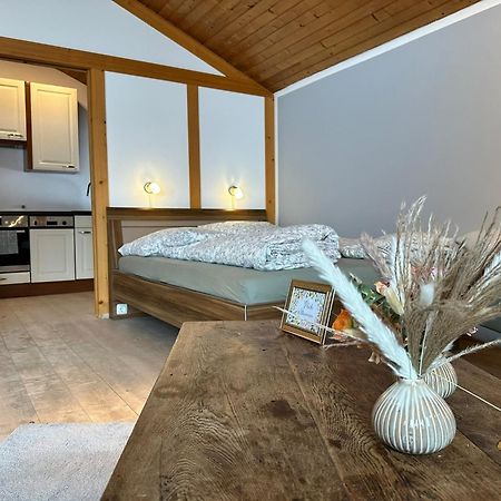 Appartement Hochwildfeuerberg シュタインガーデン エクステリア 写真