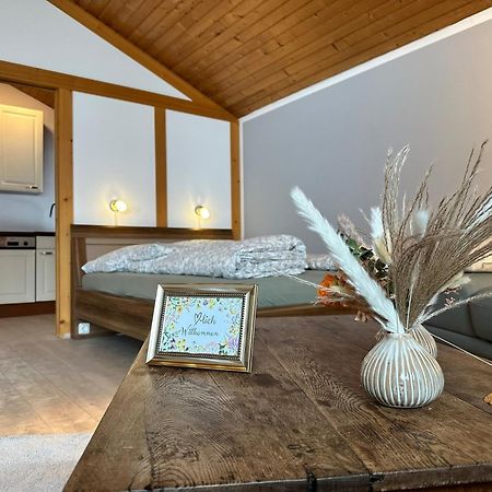 Appartement Hochwildfeuerberg シュタインガーデン エクステリア 写真