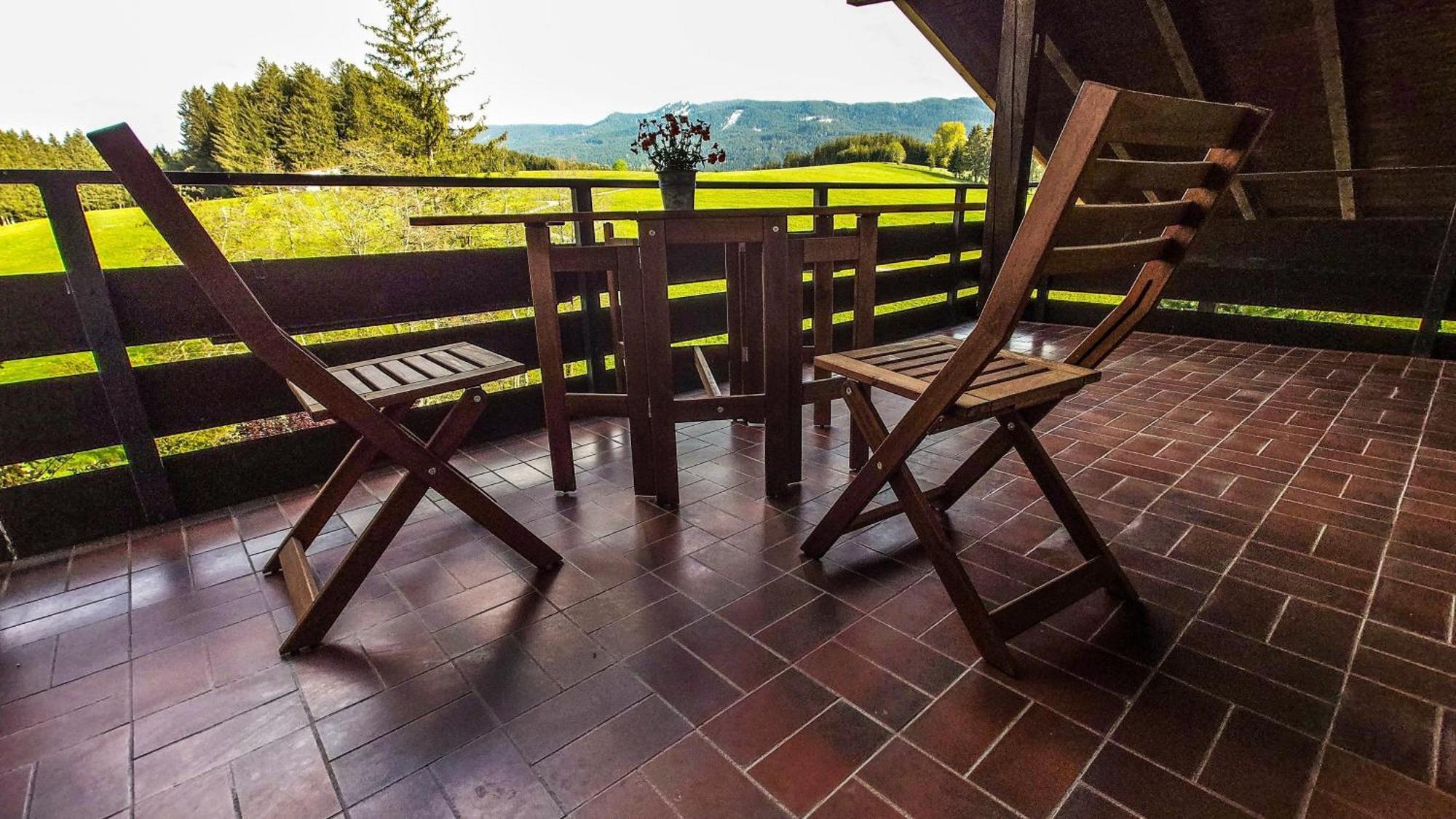Appartement Hochwildfeuerberg シュタインガーデン エクステリア 写真