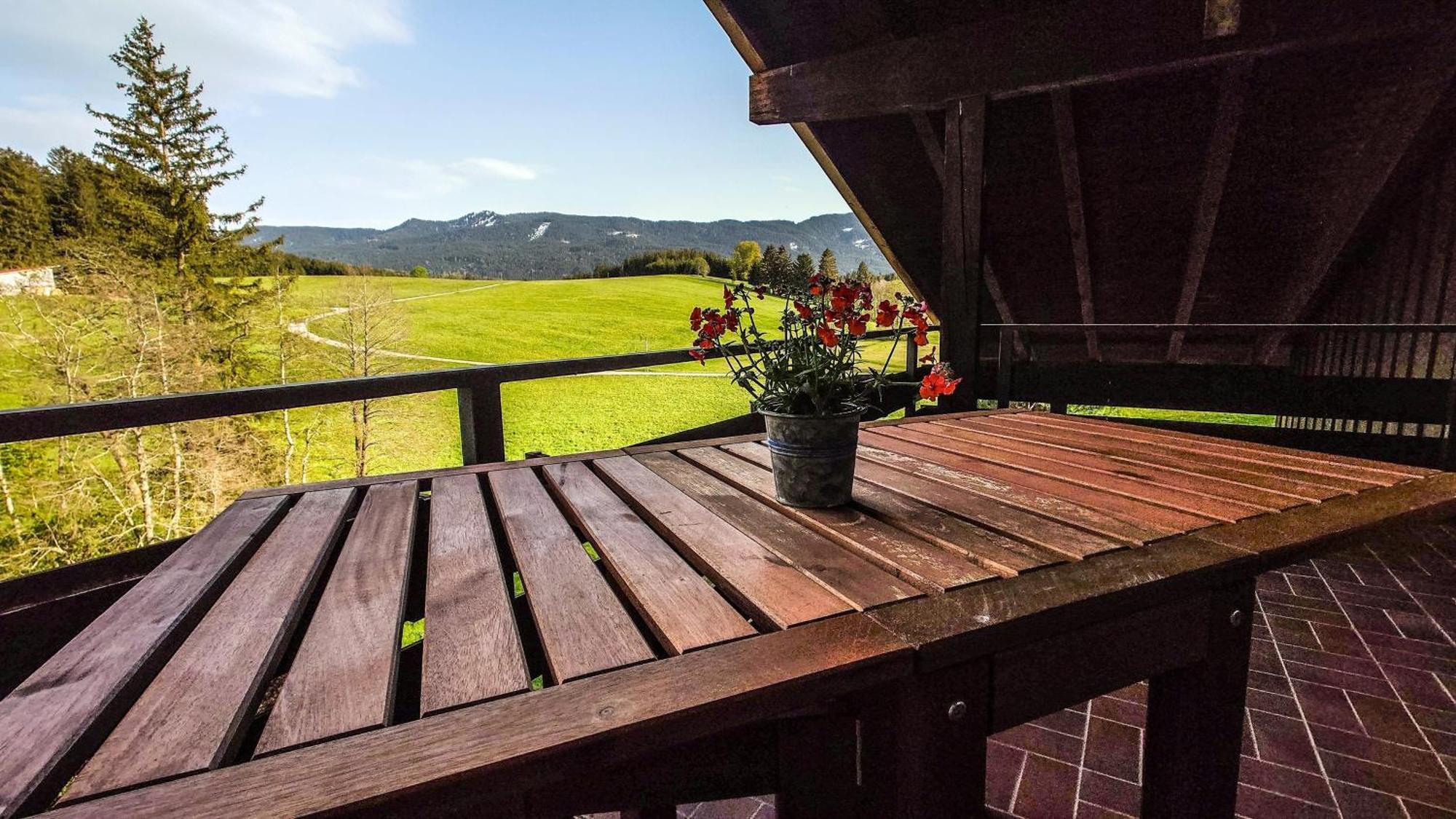 Appartement Hochwildfeuerberg シュタインガーデン エクステリア 写真