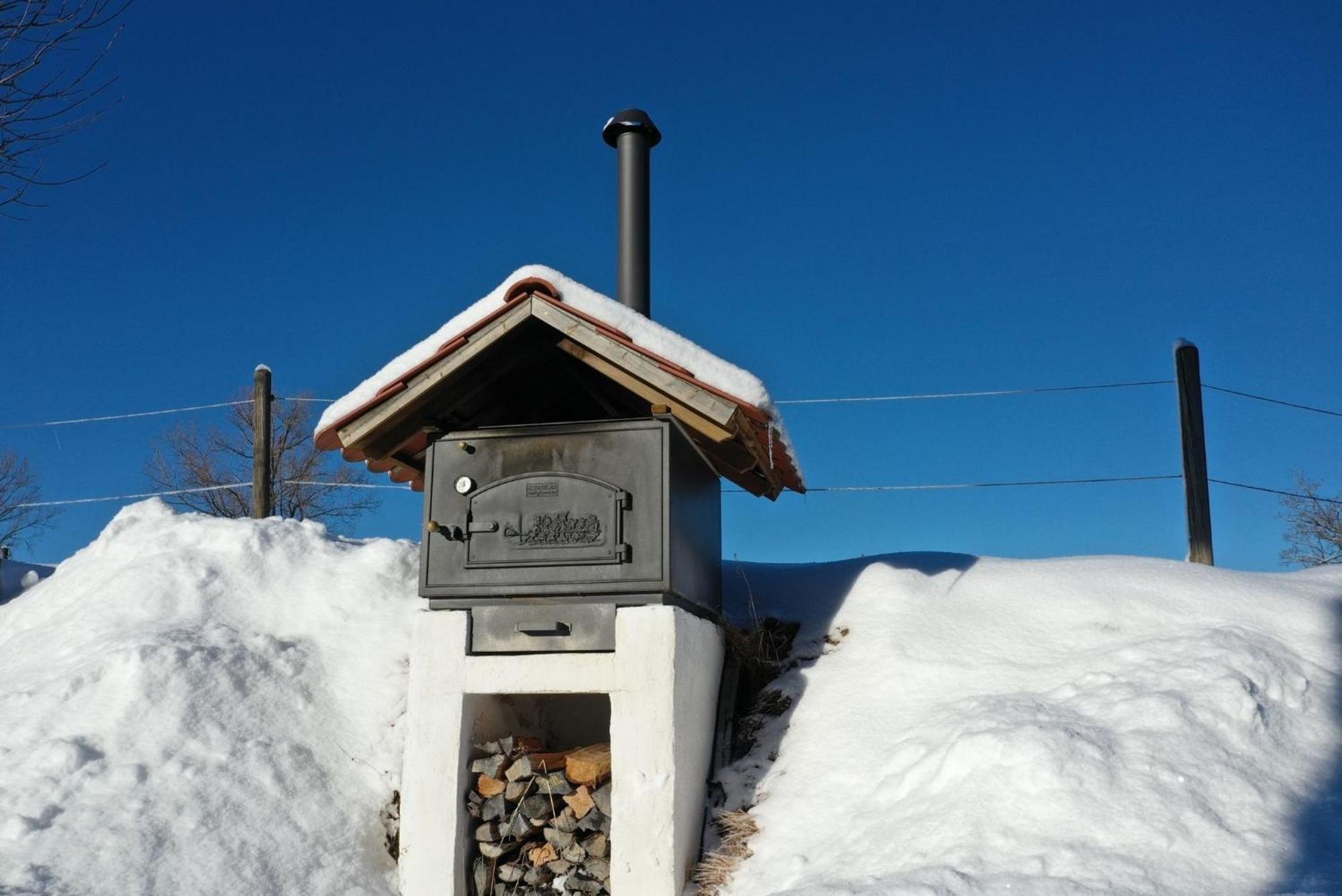 Appartement Hochwildfeuerberg シュタインガーデン エクステリア 写真