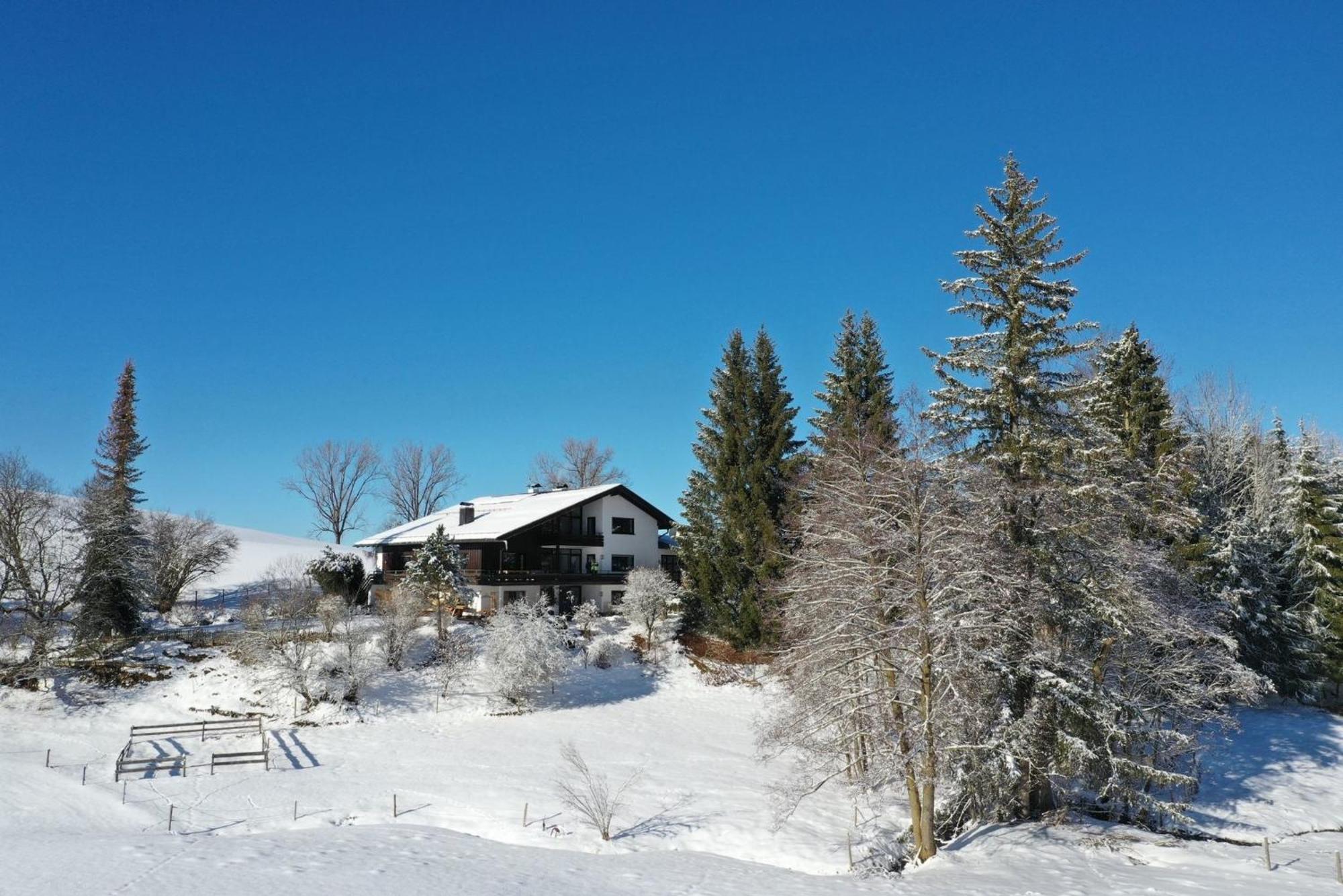 Appartement Hochwildfeuerberg シュタインガーデン エクステリア 写真