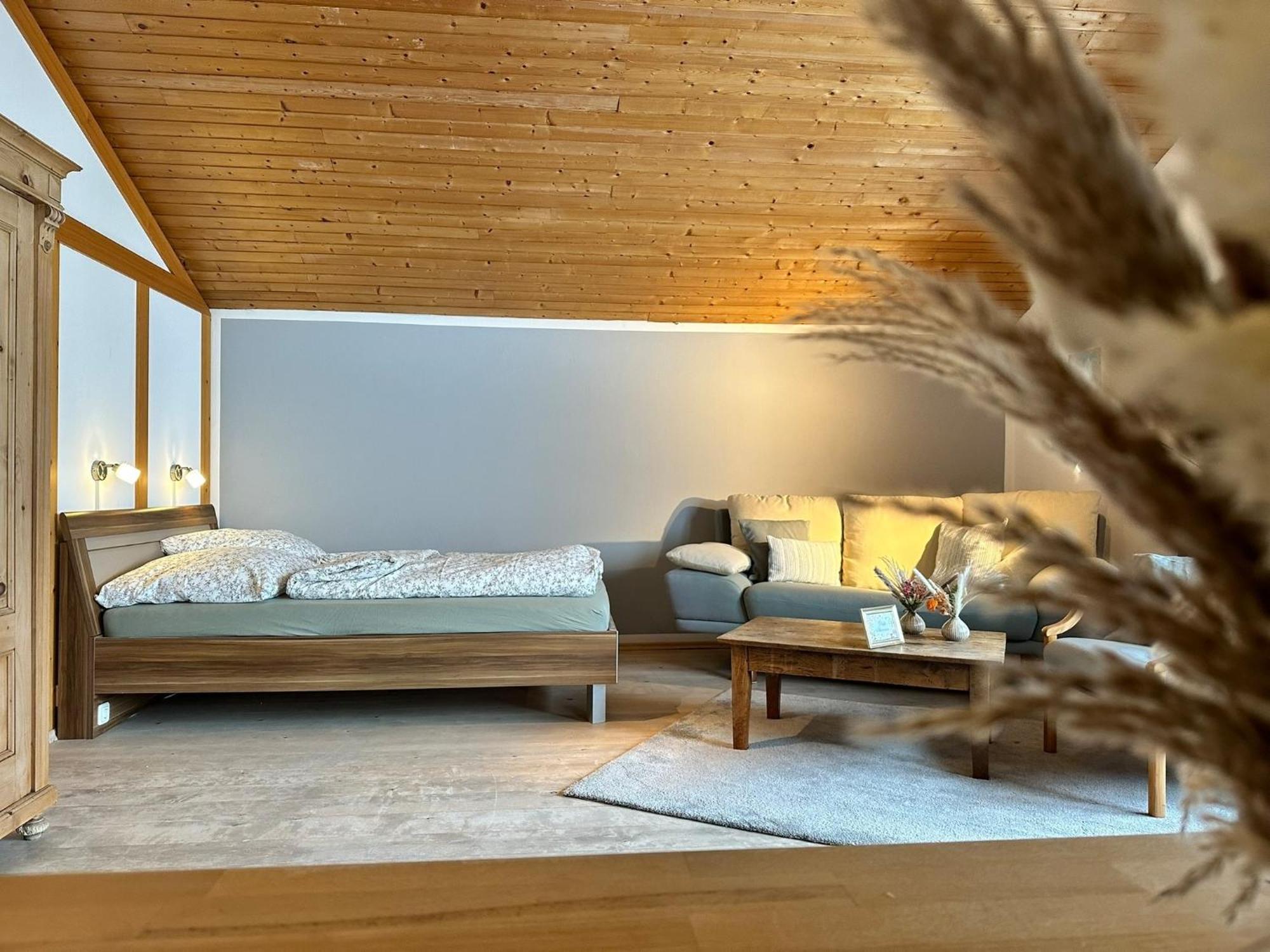 Appartement Hochwildfeuerberg シュタインガーデン エクステリア 写真