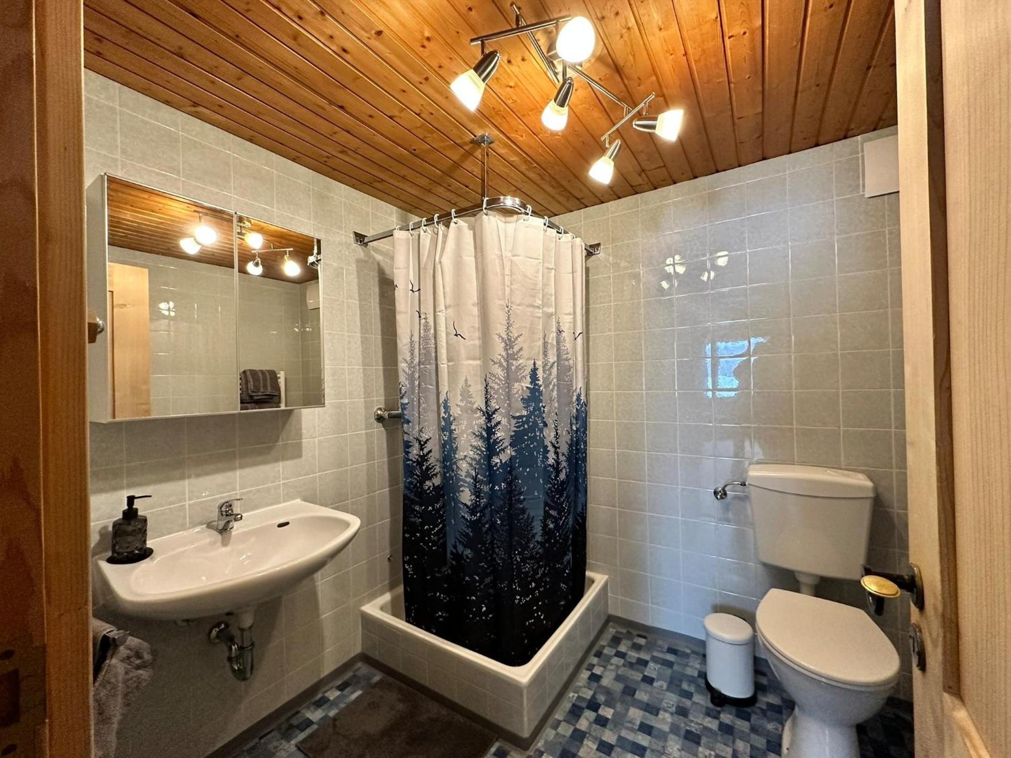 Appartement Hochwildfeuerberg シュタインガーデン エクステリア 写真