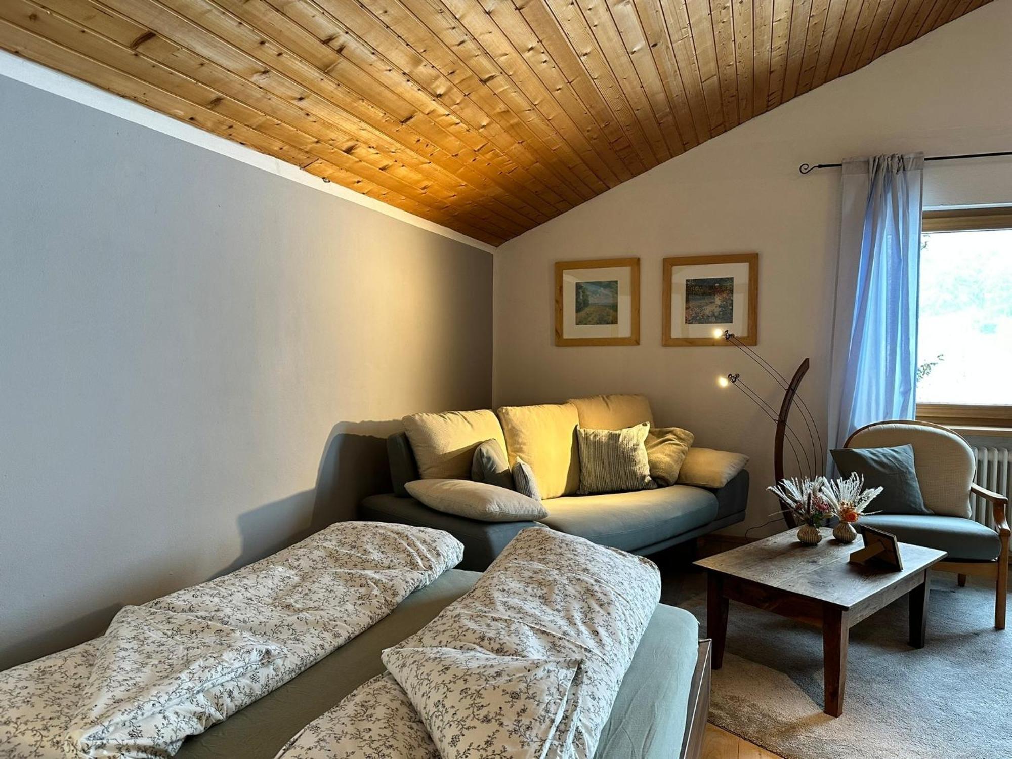 Appartement Hochwildfeuerberg シュタインガーデン エクステリア 写真