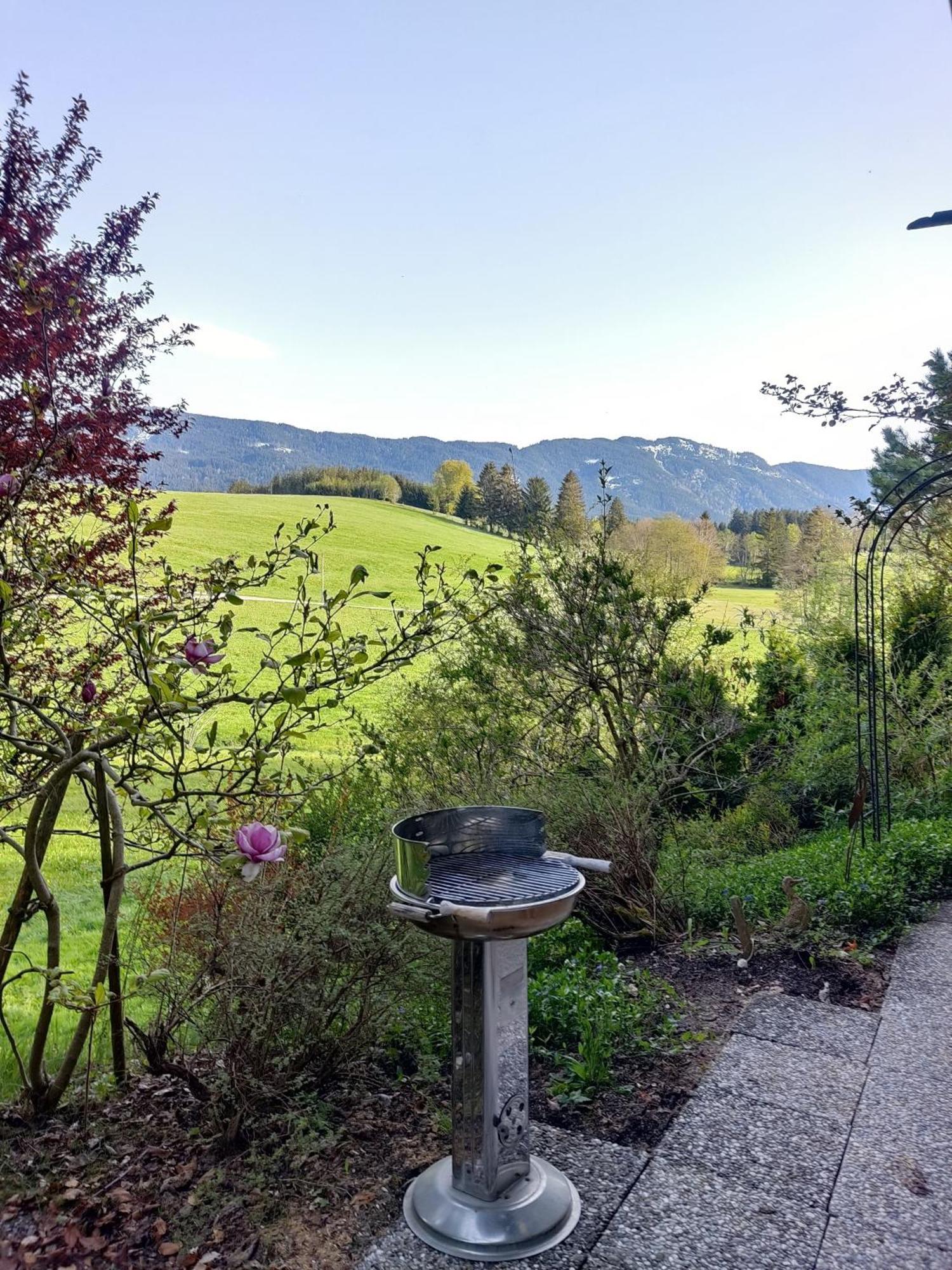 Appartement Hochwildfeuerberg シュタインガーデン エクステリア 写真